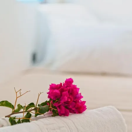 Apartment Cycladic Traditional House With View Emporio (Santorini)