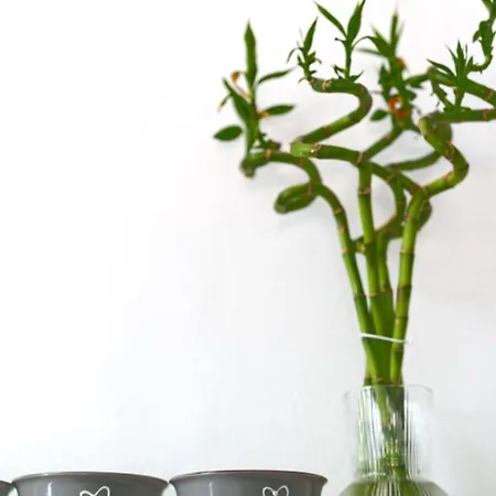 Cycladic Traditional House With View Apartment Emporio (Santorini)