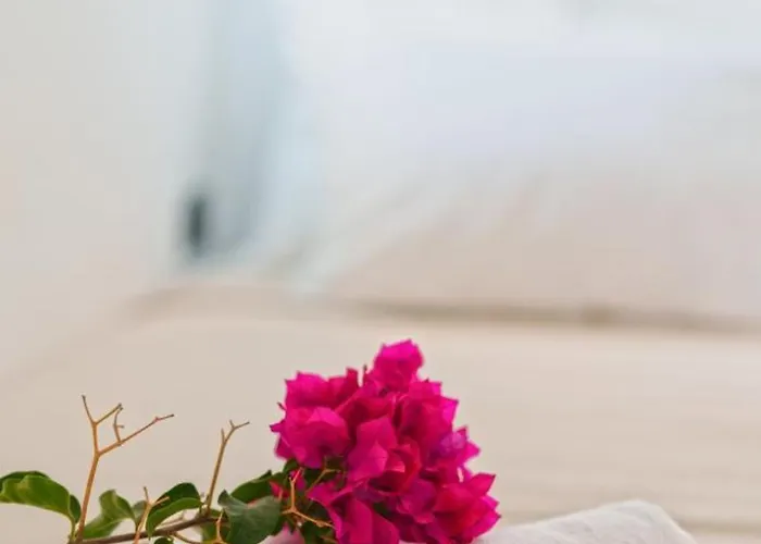 Apartment Cycladic Traditional House With View Emporio (Santorini)