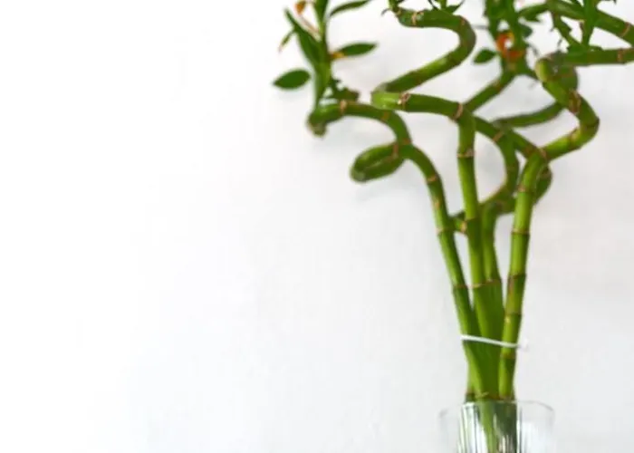 Cycladic Traditional House With View Apartment Emporio (Santorini)