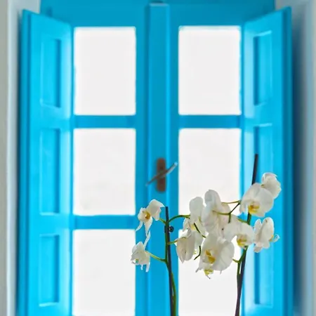 Cycladic Traditional House With View Lägenhet *